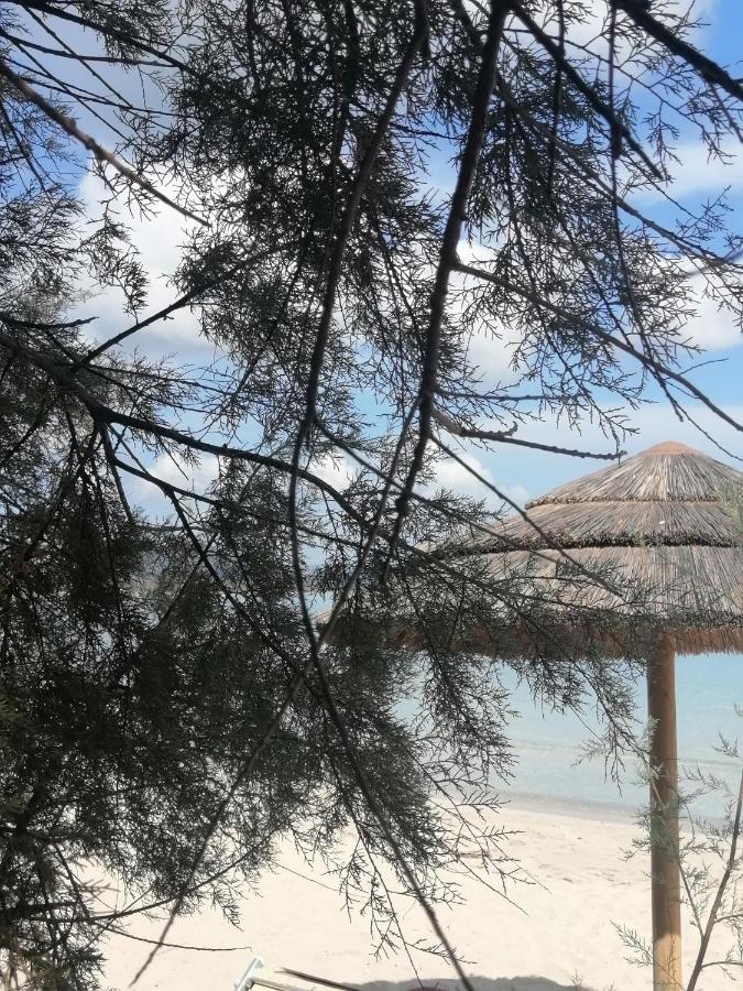 Apartament La Finestra Su Stintino Zewnętrze zdjęcie